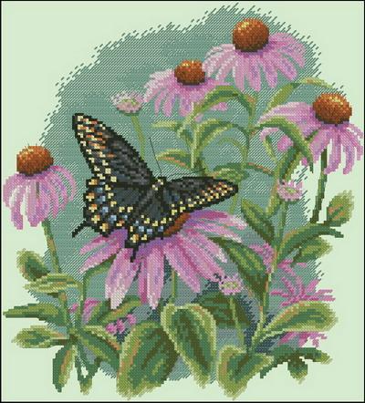 Butterfly and deisies