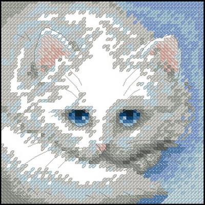 Charming cat