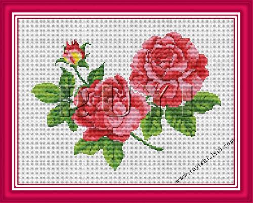 Đóa Hồng Kiêu Sa (Chỉ Rosace)