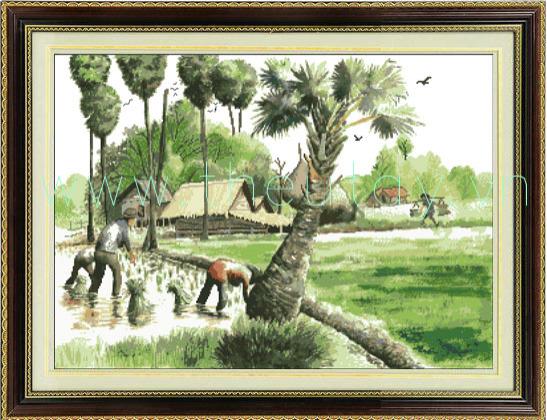 Đồng Quê Mùa Gieo Mạ
