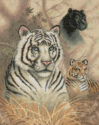 Eyes in the Wild