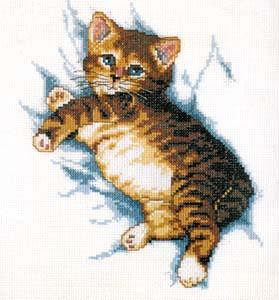 Fat Kitty