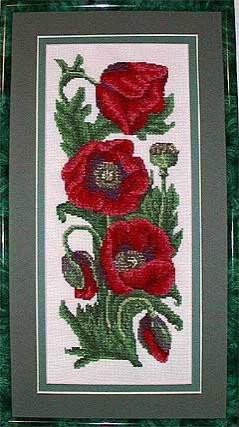 Flowers Collection Poppies