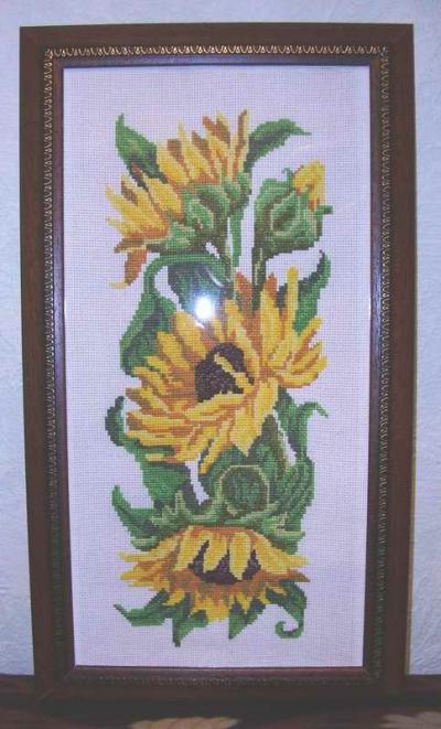 Flowers Collection Sunflowers