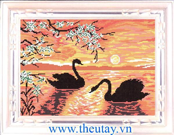 Hồ Thiên Nga (Chỉ Rosace)