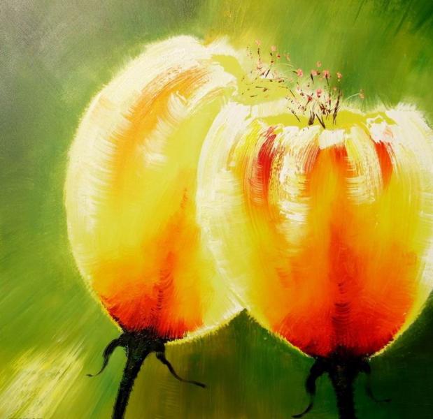 Hoa Mướp Vàng