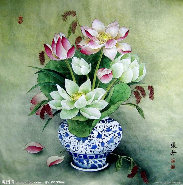 Hoa Sen Tươi Thắm