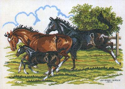 Horses with foal