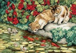 Kitten Reflections