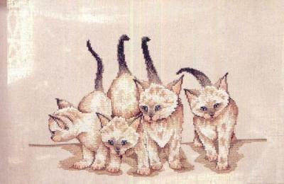 Kittens