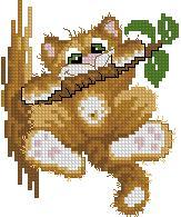 Kitty Hang On