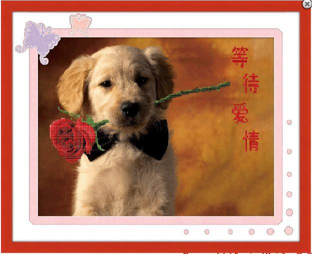 Tranh Thêu Chữ Thập 3D My Love For You