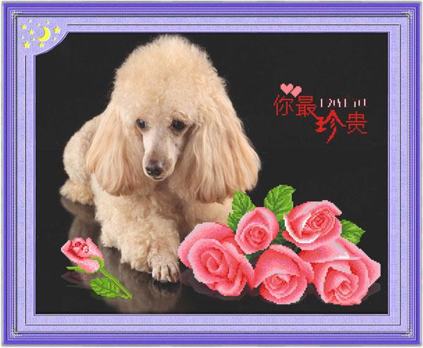 Tranh Thêu Chữ Thập 3D Người Bạn Quý Giá
