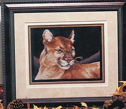Portrait of a Cougar
