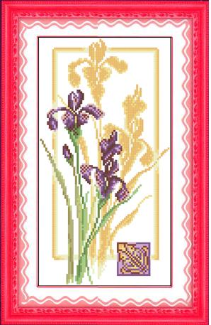 Reflection of Iris