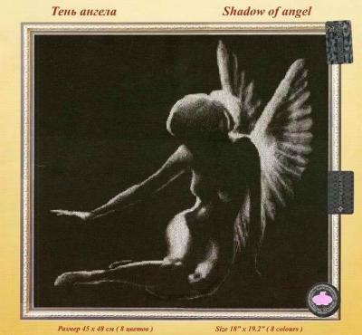 Shadow of angel