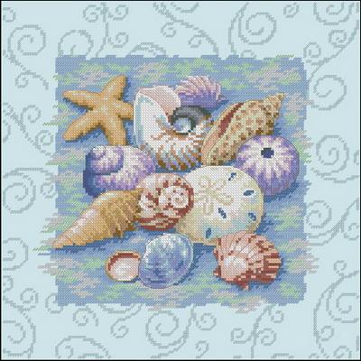 Shells on Blue