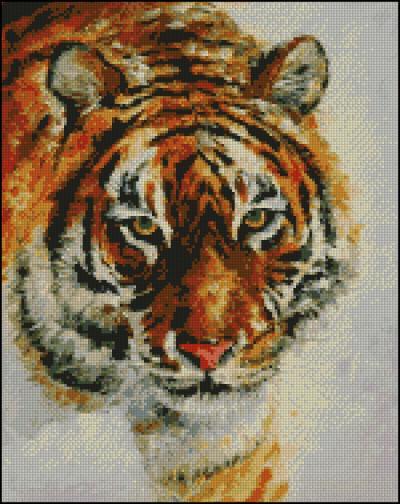 TIGER ON THE SNOW