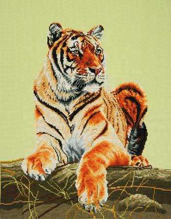 Tigress
