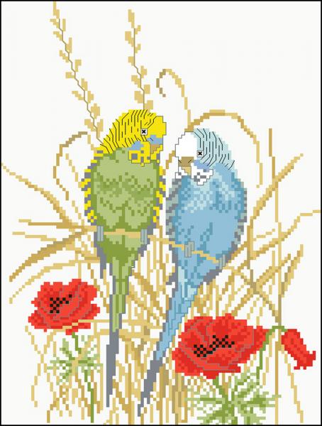 Tranh Đá Budgerigar