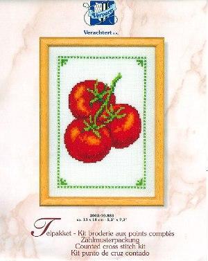 Vervaco04
