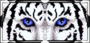White Tiger Eyes